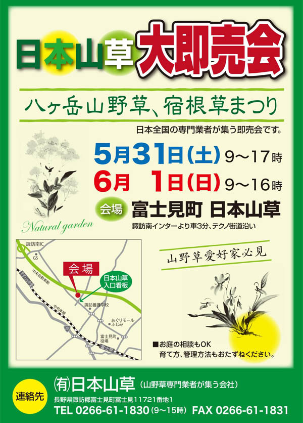 八ヶ岳山野草まつりポスター