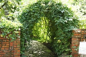 上野ファーム庭の入り口