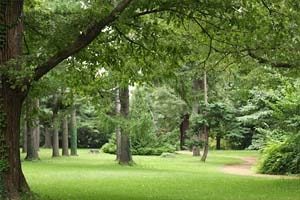 広い北大植物園