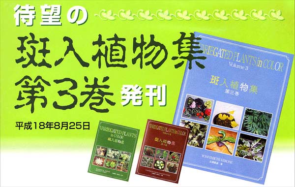 斑入植物集第3巻の宣伝