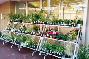 見附市の道の駅、パティオにいがた