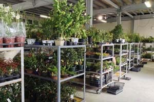 日本山草のブース。