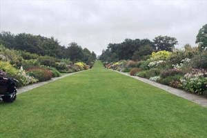 ウィズリーガーデン