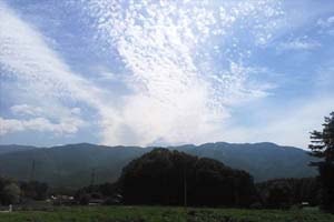 八ヶ岳山野草まつり