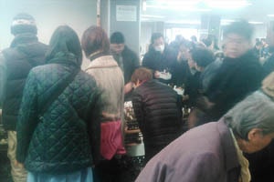 日曜日の山草フェア