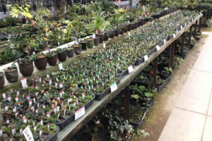 店内の様子。 店内の様子。