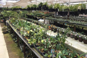 店内の様子。 店内の様子。