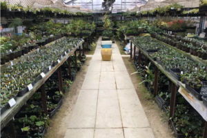 店内の様子。 店内の様子。